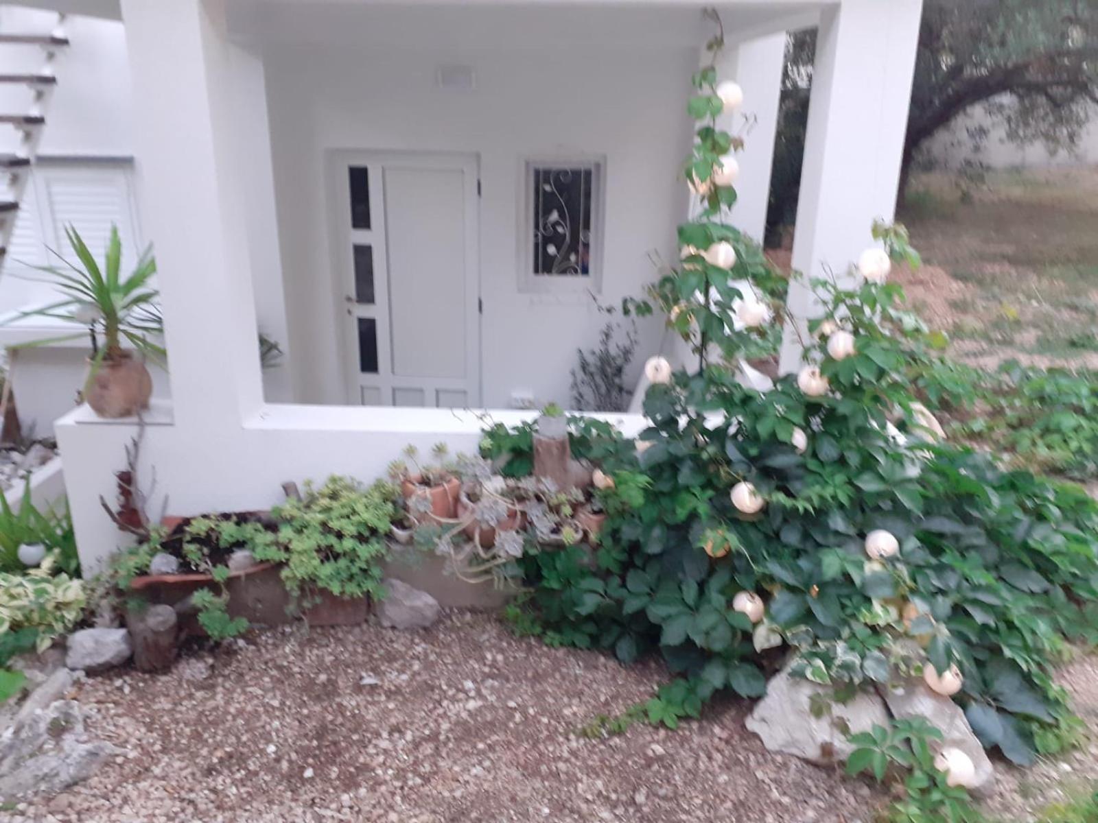 Villa Ana Макарська Номер фото